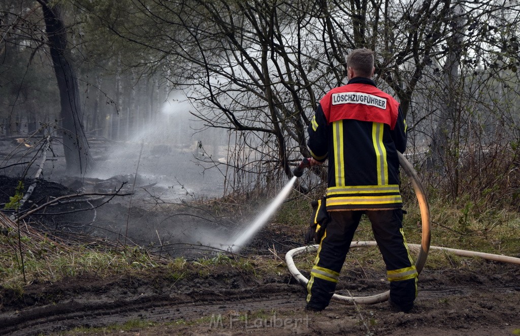 Waldbrand Wahner Heide Troisdorf Eisenweg P477.JPG - Miklos Laubert